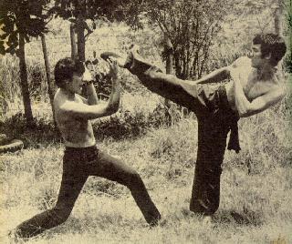 Taijiquan Pushing Hands