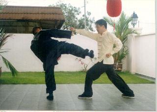 kungfu sparring