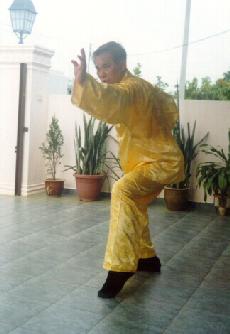 Shaolin Kungfu