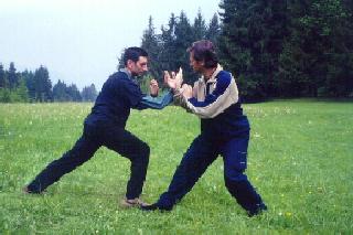 Taijiquan Pushing Hands