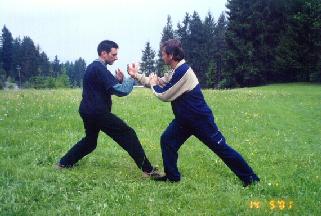 Taijiquan Pushing Hands