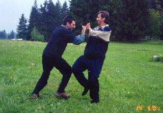 Taijiquan Pushing Hands