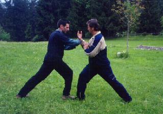 Taijiquan Pushing Hands