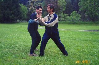 Taijiquan Pushing Hands