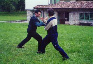 Taijiquan Pushing Hands