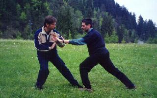 Taijiquan Pushing Hands