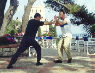 Taijiquan Pushing Hands