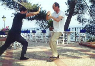 Taijiquan Pushing Hands