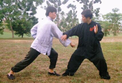 Taijiquan combat