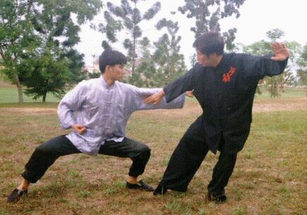 Taijiquan combat