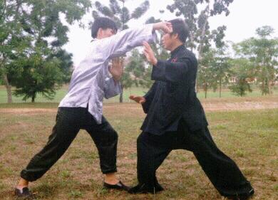 Taijiquan combat