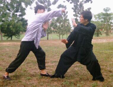 Taijiquan combat