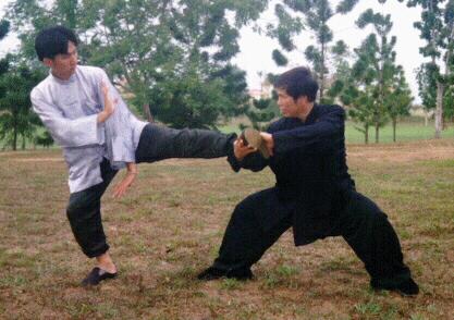 Taijiquan combat