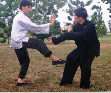 Taijiquan combat