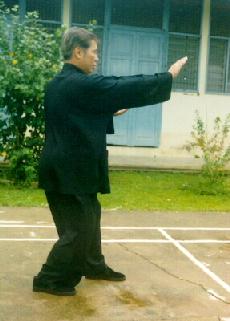 Taijiquan