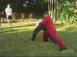 Shaolin Chin-Na