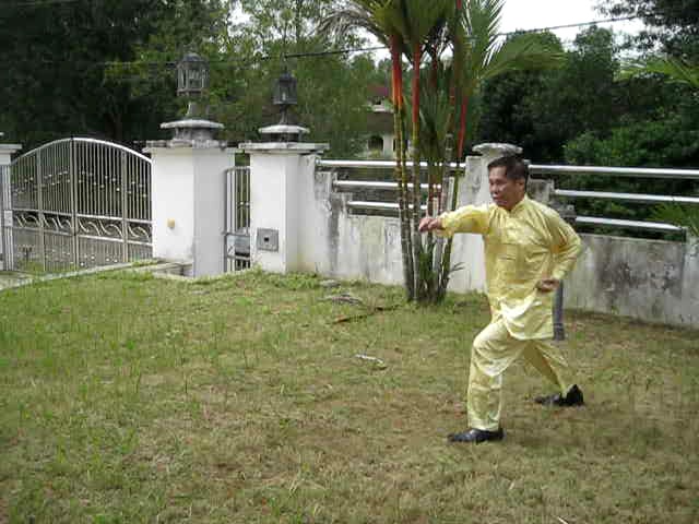 Shaolin Kungfu