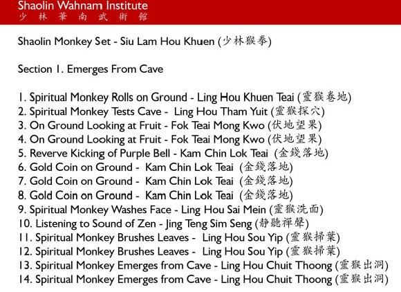 Shaolin Monkey Set Chinese Names