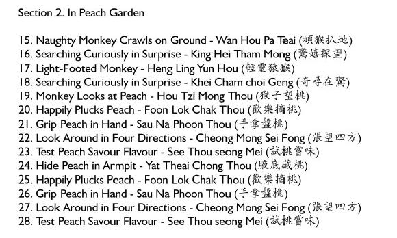 Shaolin Monkey Set Chinese Names