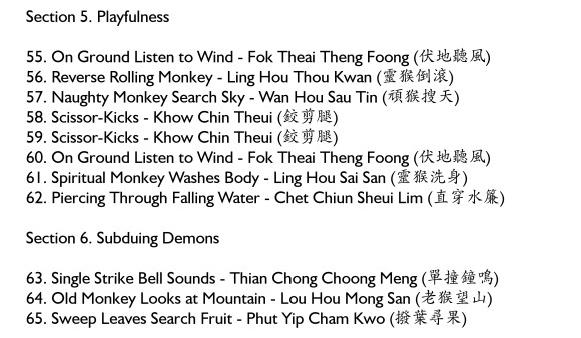 Shaolin Monkey Set Chinese Names