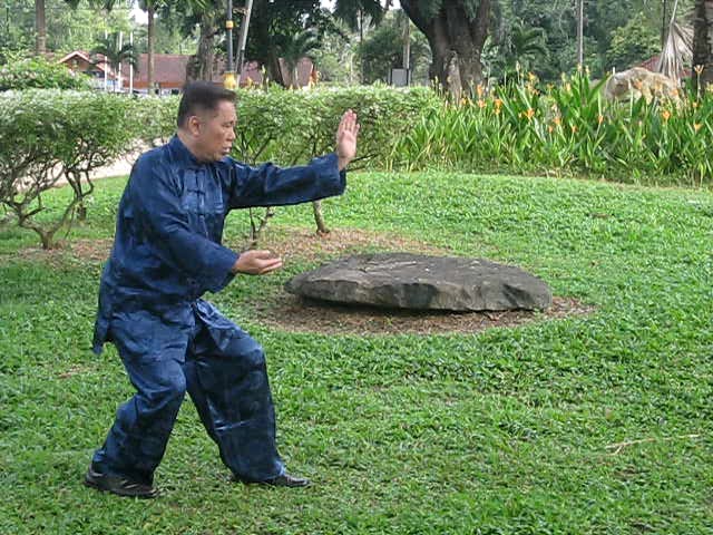 48-Pattern Taijiquan Set