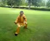 Wahnam Taijiquan