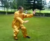 Wahnam Taijiquan