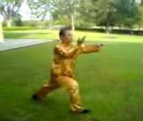 Wahnam Taijiquan