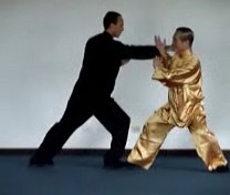 Wahnam Taijiquan