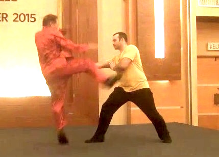 Shaolin 36 Leg Techniques