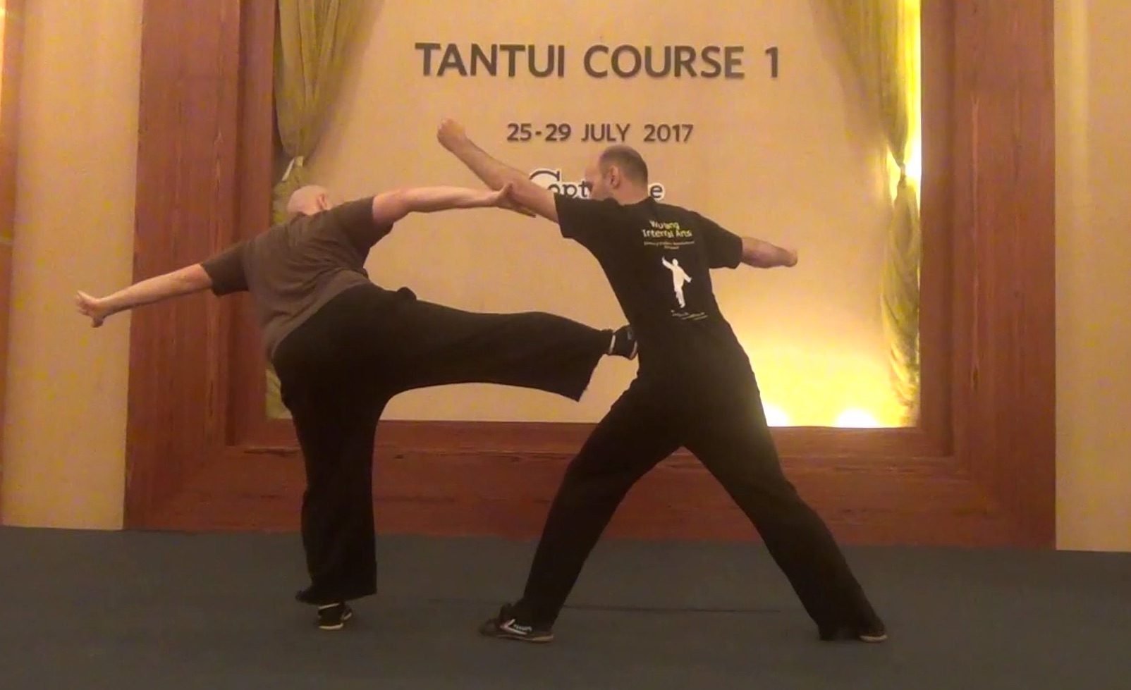 Shaolin Tantui