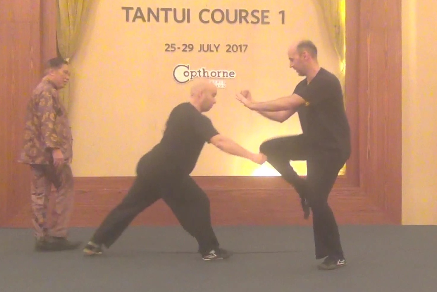 Shaolin Tantui