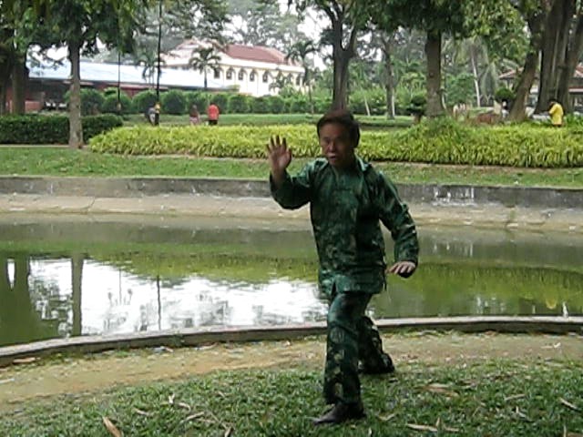 Wahnam Taijiquan