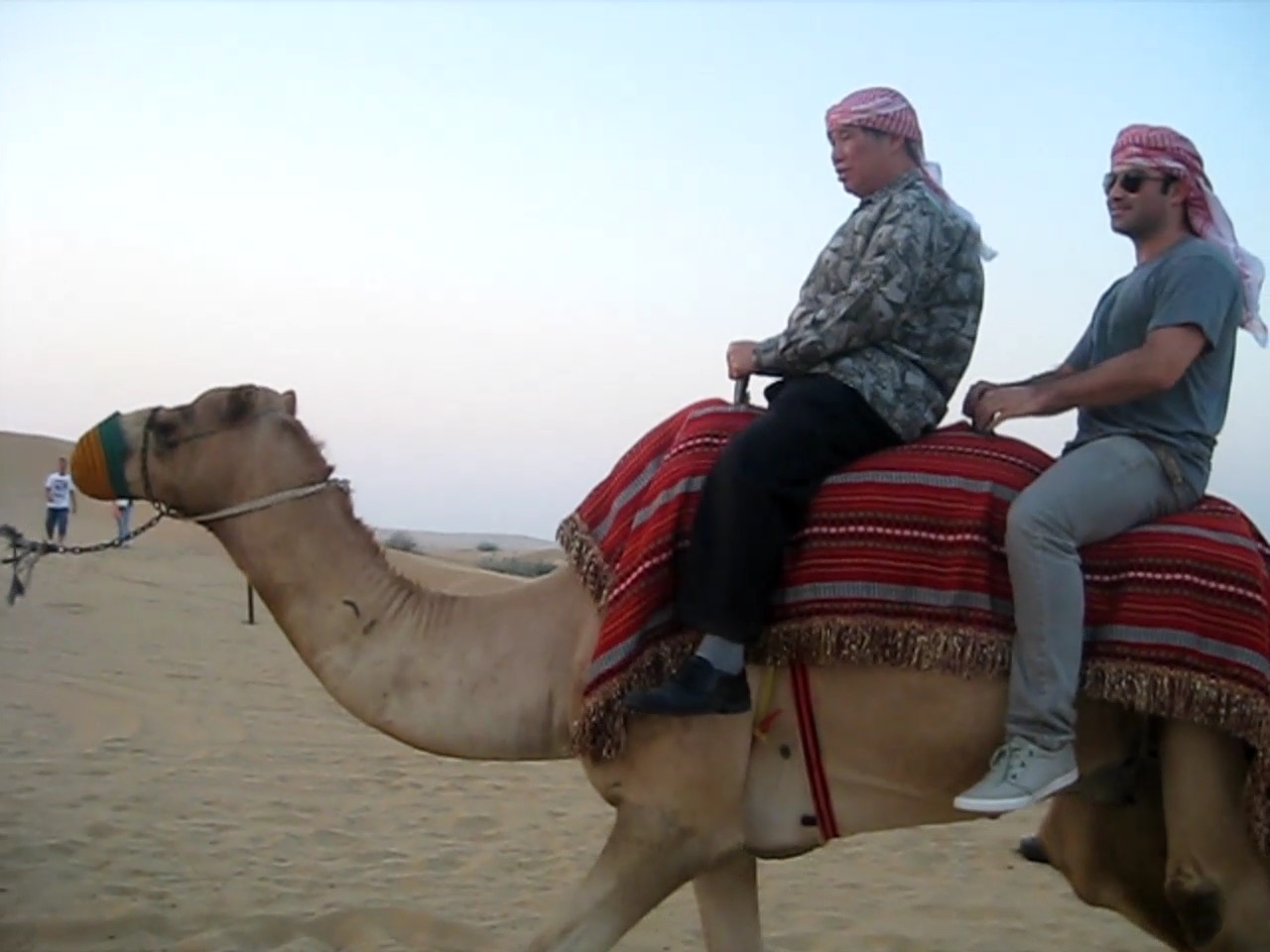 Camel Ride