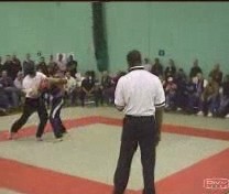 Taijiquan combat application