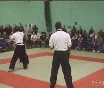 Taijiquan combat application