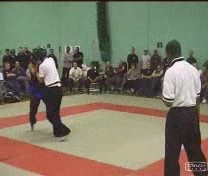 Taijiquan combat application