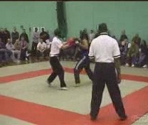 Taijiquan combat application