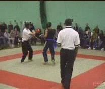 Taijiquan combat application