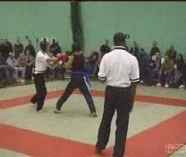 Taijiquan combat application