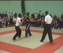 Taijiquan combat application