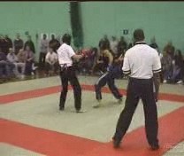 Taijiquan combat application