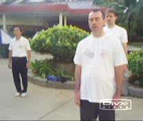 Intensive Taijiquan Course