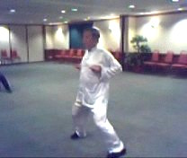 Intensive Taijiquan Course