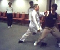 Intensive Taijiquan Course