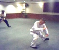 Intensive Taijiquan Course