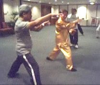 Intensive Taijiquan Course