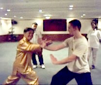 Intensive Taijiquan Course