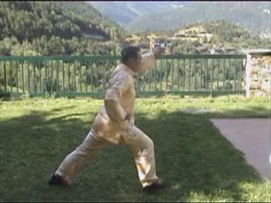 Shaolin Combat Sequences