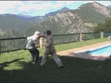 Shaolin Combat Sequences